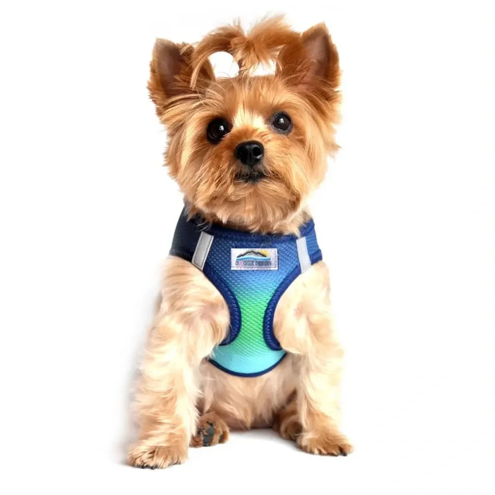 Blue-Green Choke Free Mesh Dog Harness Small